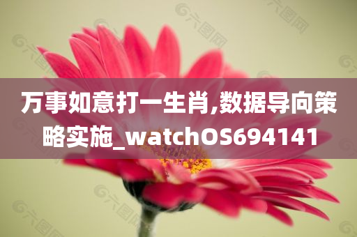 万事如意打一生肖,数据导向策略实施_watchOS694141