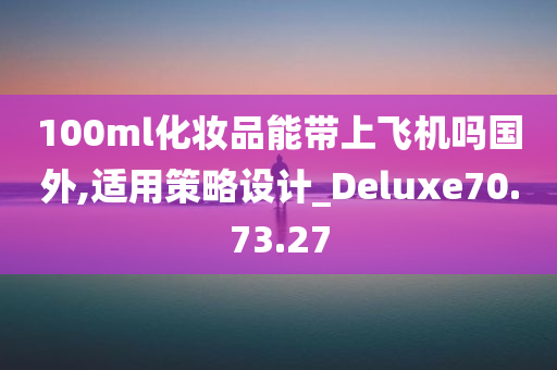 100ml化妆品能带上飞机吗国外,适用策略设计_Deluxe70.73.27