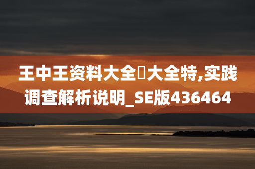 王中王资料大全枓大全特,实践调查解析说明_SE版436464