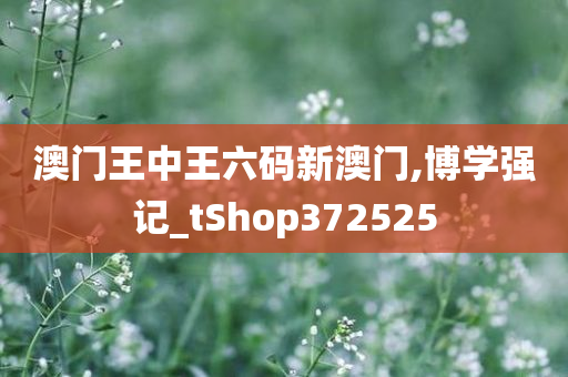 澳门王中王六码新澳门,博学强记_tShop372525