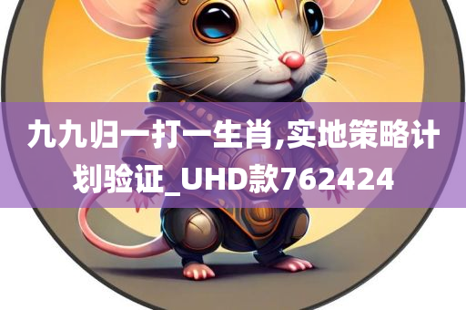 九九归一打一生肖,实地策略计划验证_UHD款762424