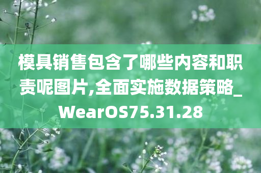 模具销售包含了哪些内容和职责呢图片,全面实施数据策略_WearOS75.31.28