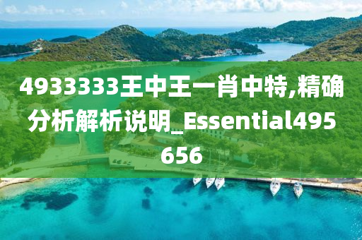 4933333王中王一肖中特,精确分析解析说明_Essential495656