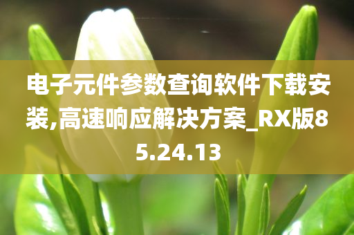 电子元件参数查询软件下载安装,高速响应解决方案_RX版85.24.13