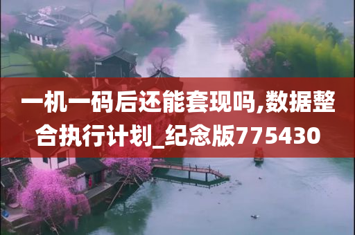 一机一码后还能套现吗,数据整合执行计划_纪念版775430