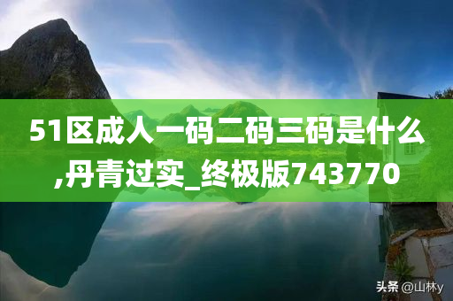 51区成人一码二码三码是什么,丹青过实_终极版743770