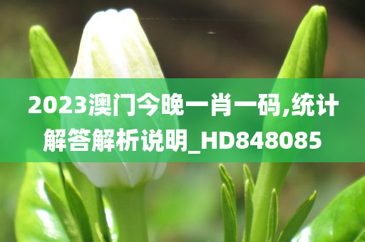 2023澳门今晚一肖一码,统计解答解析说明_HD848085