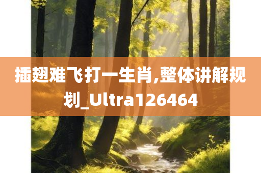 插翅难飞打一生肖,整体讲解规划_Ultra126464