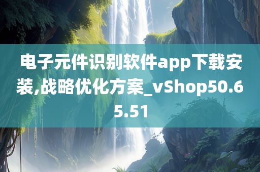 电子元件识别软件app下载安装,战略优化方案_vShop50.65.51