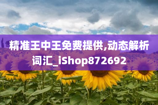 精准王中王免费提供,动态解析词汇_iShop872692