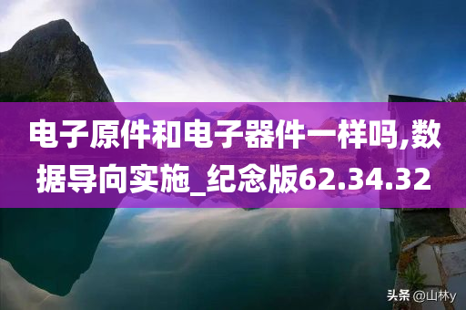 电子原件和电子器件一样吗,数据导向实施_纪念版62.34.32