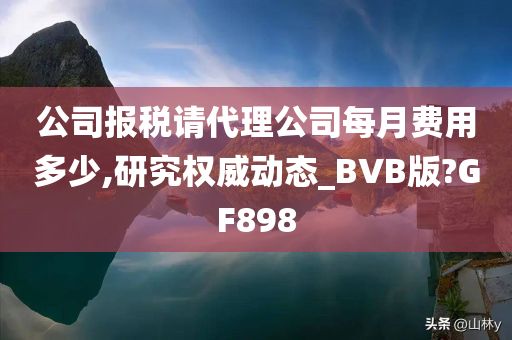 公司报税请代理公司每月费用多少,研究权威动态_BVB版?GF898