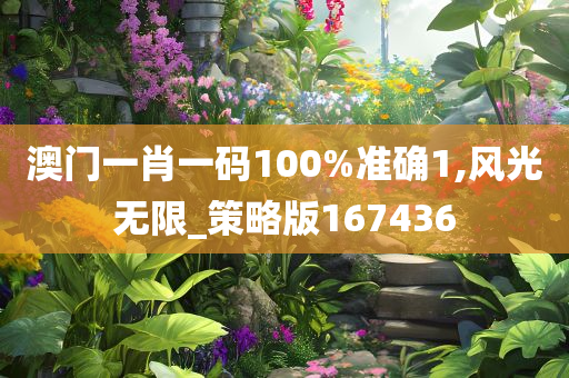 澳门一肖一码100%准确1,风光无限_策略版167436