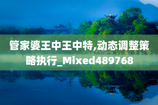 管家婆王中王中特,动态调整策略执行_Mixed489768