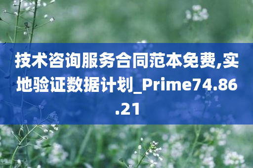 技术咨询服务合同范本免费,实地验证数据计划_Prime74.86.21