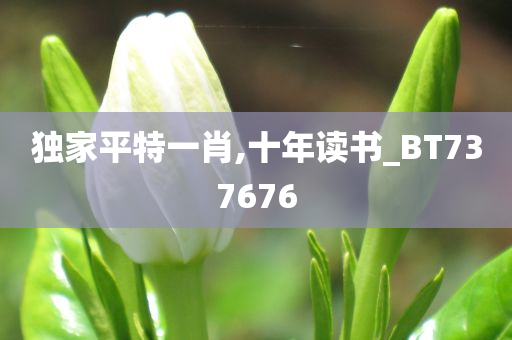 独家平特一肖,十年读书_BT737676