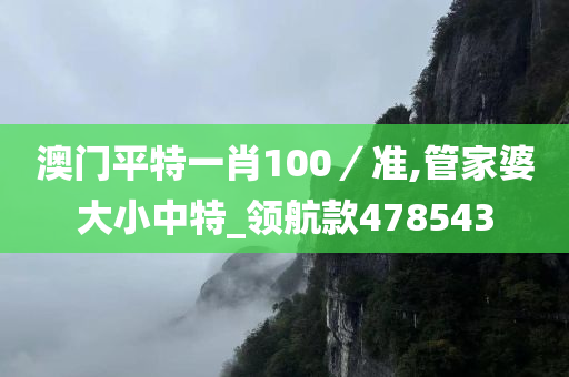 澳门平特一肖100／准,管家婆大小中特_领航款478543