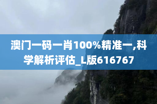 澳门一码一肖100%精准一,科学解析评估_L版616767