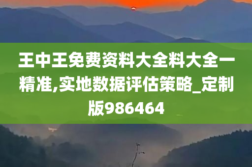 王中王免费资料大全料大全一精准,实地数据评估策略_定制版986464