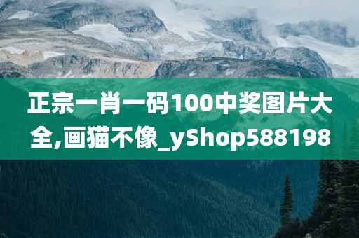 正宗一肖一码100中奖图片大全,画猫不像_yShop588198