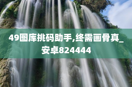 49图库挑码助手,终需画骨真_安卓824444