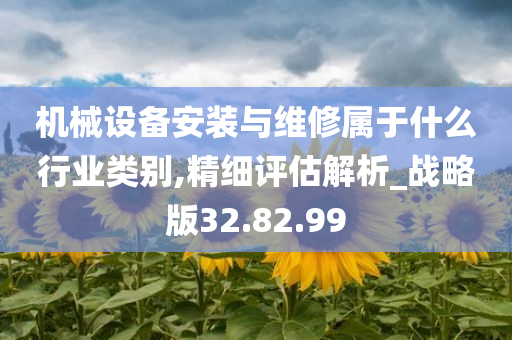 机械设备安装与维修属于什么行业类别,精细评估解析_战略版32.82.99