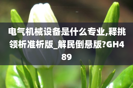 电气机械设备是什么专业,释挑领析准析版_解民倒悬版?GH489