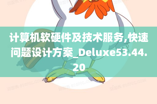 计算机软硬件及技术服务,快速问题设计方案_Deluxe53.44.20