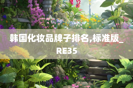 韩国化妆品牌子排名,标准版_RE35