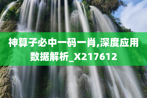 神算子必中一码一肖,深度应用数据解析_X217612