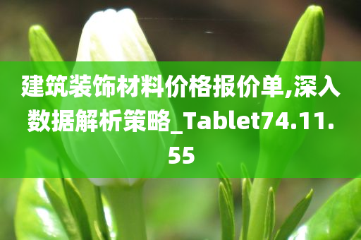 建筑装饰材料价格报价单,深入数据解析策略_Tablet74.11.55