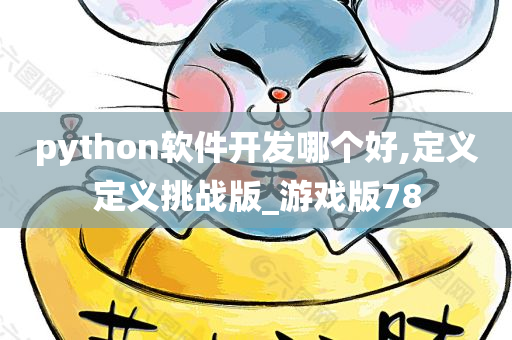 python软件开发哪个好,定义定义挑战版_游戏版78