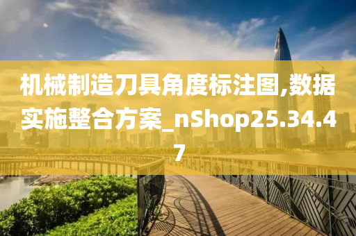 机械制造刀具角度标注图,数据实施整合方案_nShop25.34.47