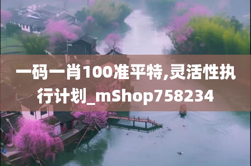 一码一肖100准平特,灵活性执行计划_mShop758234