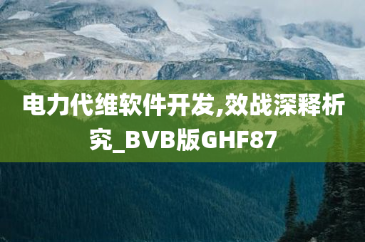 电力代维软件开发,效战深释析究_BVB版GHF87