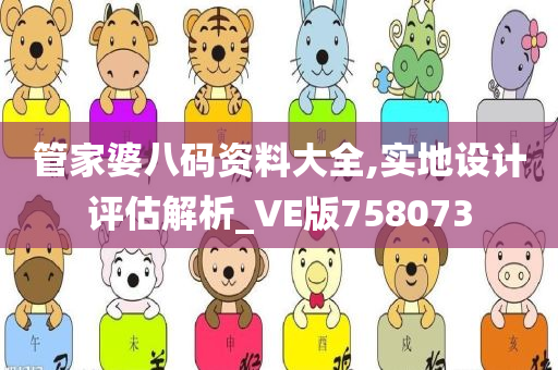 管家婆八码资料大全,实地设计评估解析_VE版758073