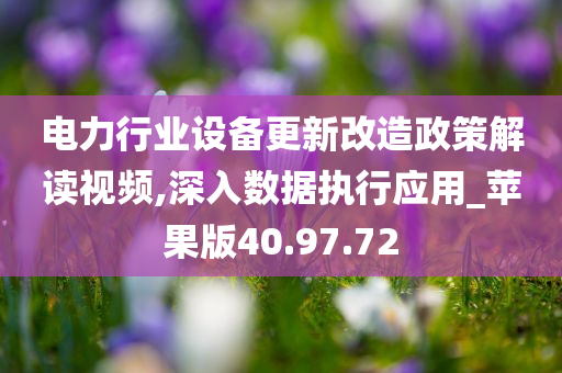 电力行业设备更新改造政策解读视频,深入数据执行应用_苹果版40.97.72