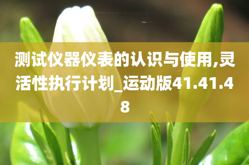 测试仪器仪表的认识与使用,灵活性执行计划_运动版41.41.48