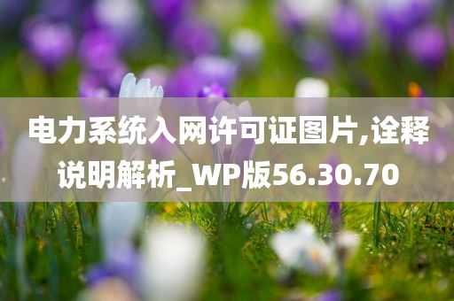 电力系统入网许可证图片,诠释说明解析_WP版56.30.70