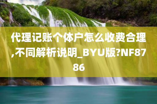 代理记账个体户怎么收费合理,不同解析说明_BYU版?NF8786