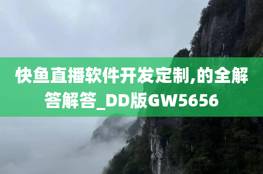 快鱼直播软件开发定制,的全解答解答_DD版GW5656