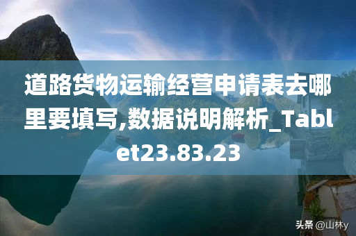 道路货物运输经营申请表去哪里要填写,数据说明解析_Tablet23.83.23