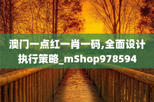 澳门一点红一肖一码,全面设计执行策略_mShop978594