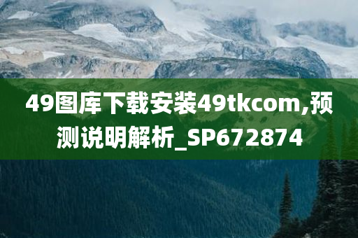 49图库下载安装49tkcom,预测说明解析_SP672874