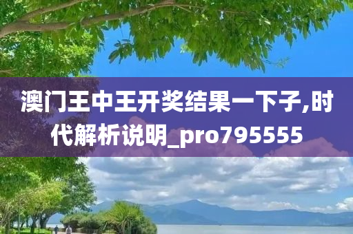 澳门王中王开奖结果一下子,时代解析说明_pro795555