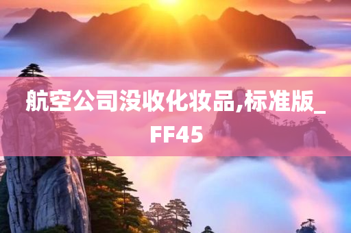 航空公司没收化妆品,标准版_FF45