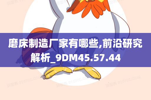 磨床制造厂家有哪些,前沿研究解析_9DM45.57.44