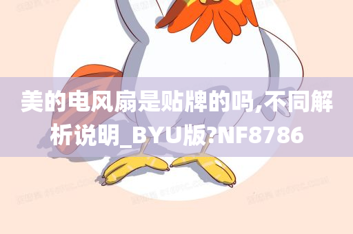 美的电风扇是贴牌的吗,不同解析说明_BYU版?NF8786