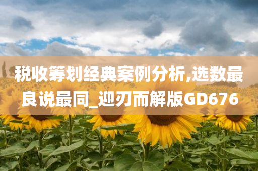 税收筹划经典案例分析,选数最良说最同_迎刃而解版GD676