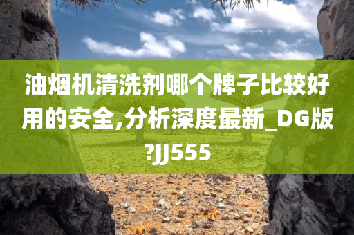 油烟机清洗剂哪个牌子比较好用的安全,分析深度最新_DG版?JJ555